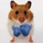 hamster live wallpapper android application logo